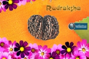 rudrakshm-wallpaper-1280x1024-worldastro.us.jpg